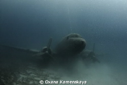 DOUGLAS C 47 A DAKOTA AIRPLANE WRECK
Canon 450, Tokina 1... by Oxana Kamenskaya 